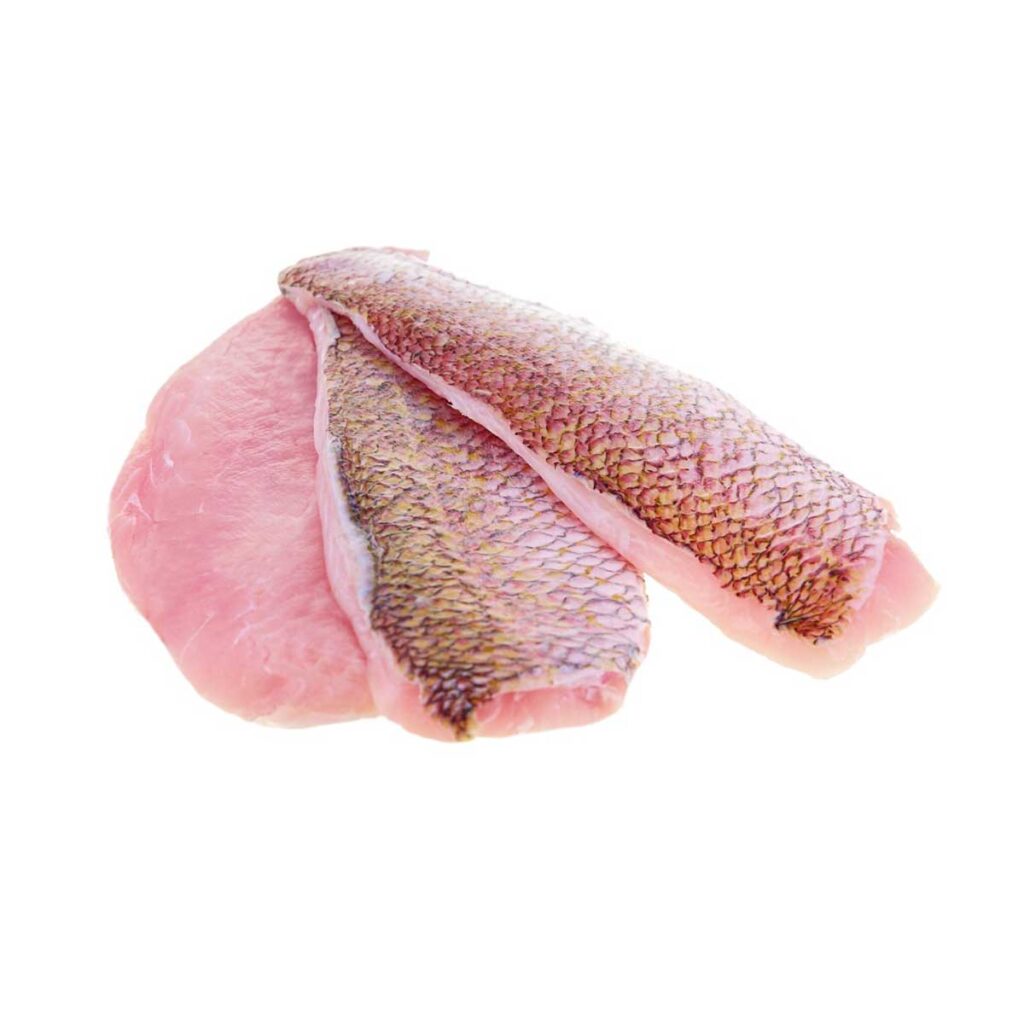 Red snapper