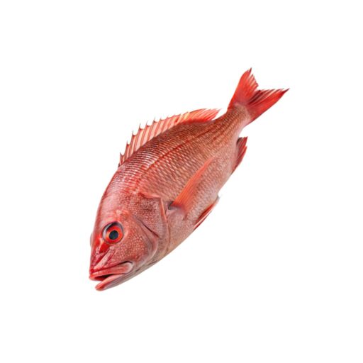 Redsnapper_hel